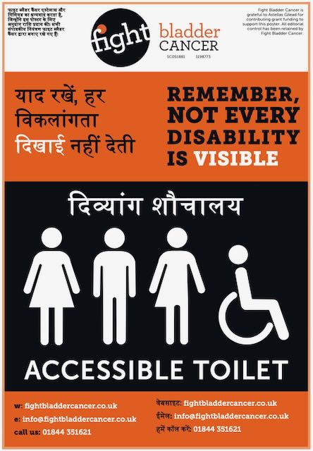 Accessible toilet sign Hindi English (PDF)
